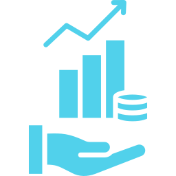 ROI Icon